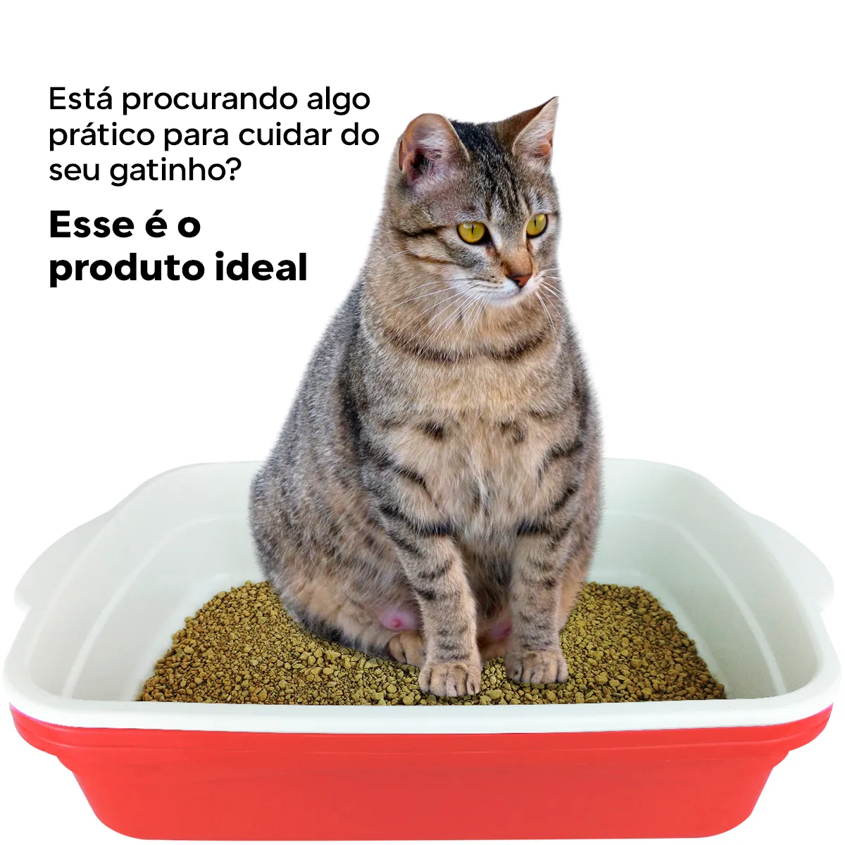 Caixa de areia furba bandeja sanitária wc gato premium - Image 3