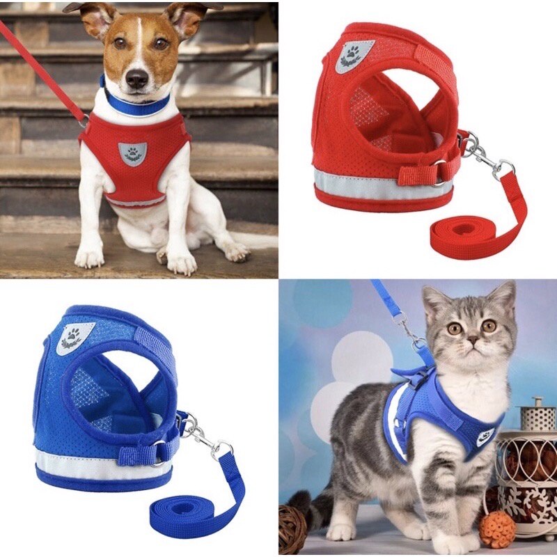 Peitoral Com Guia para Caes E Gatos Colete Regulavel