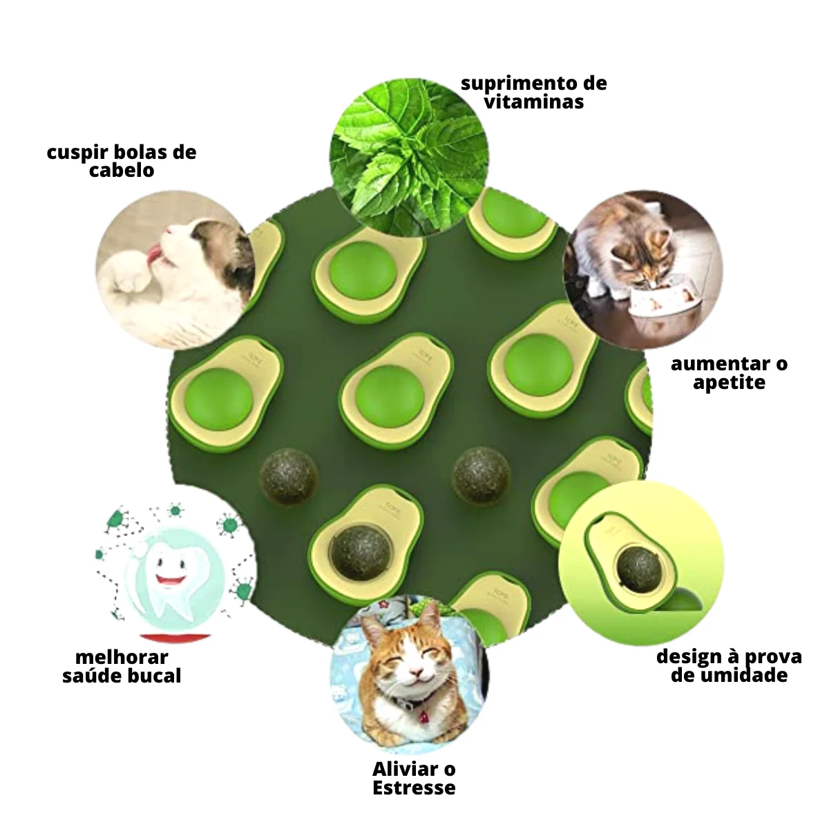 Abacate Catnip Para Gato Erva Natural Relaxante C/ Adesivo Parede - Image 3